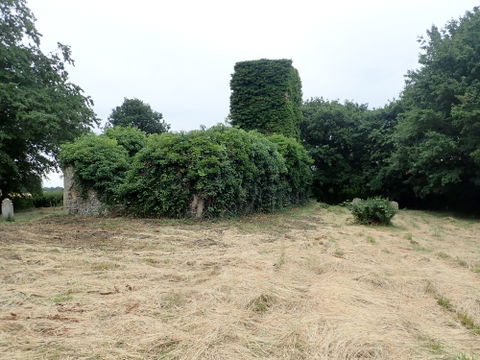 Southwood view 1