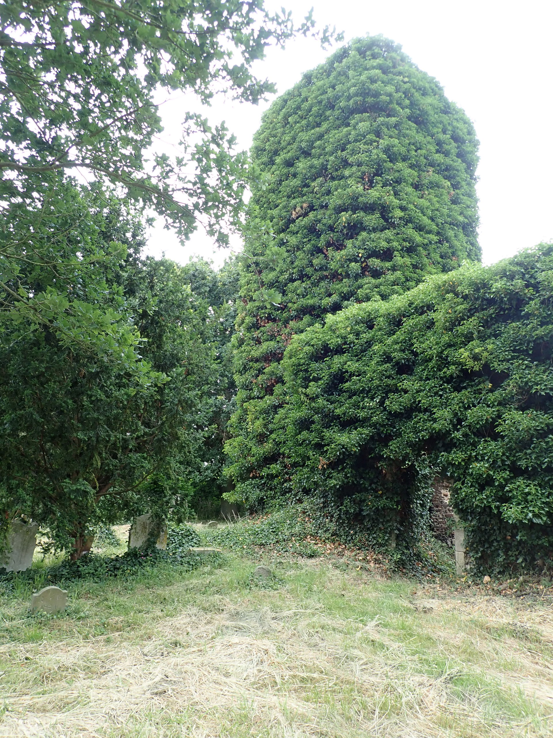 Southwood view 4