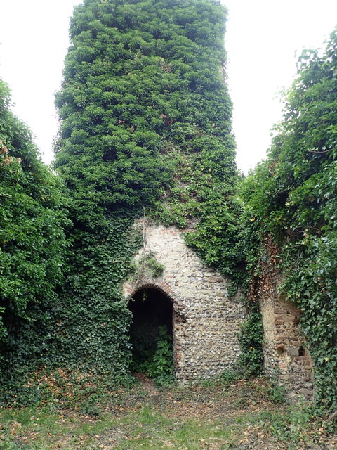 Southwood view 2