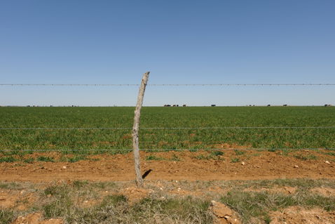 Randall County view 1