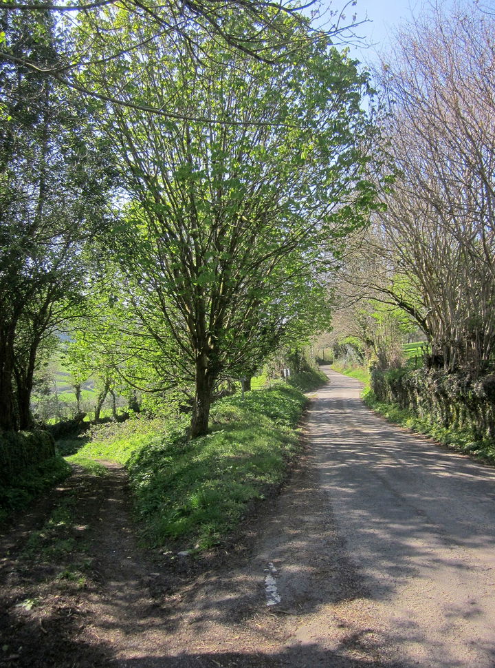 North Hill district