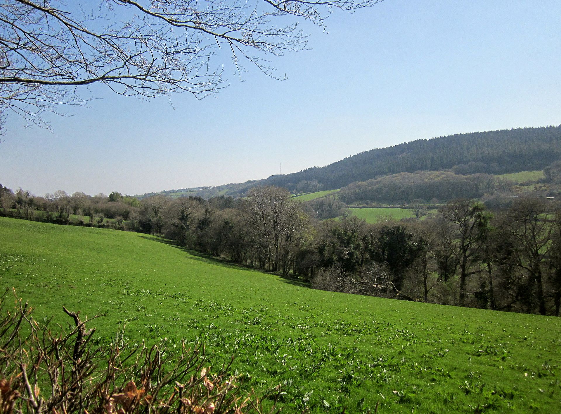 North Hill view 4
