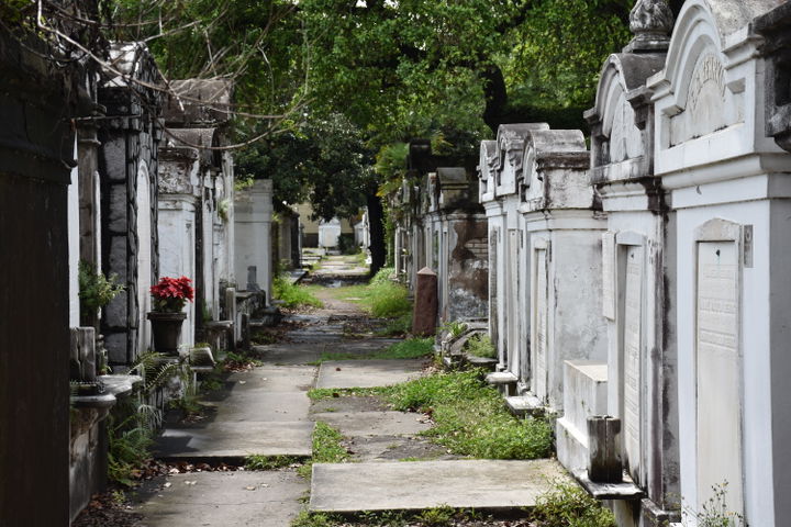 Garden District district
