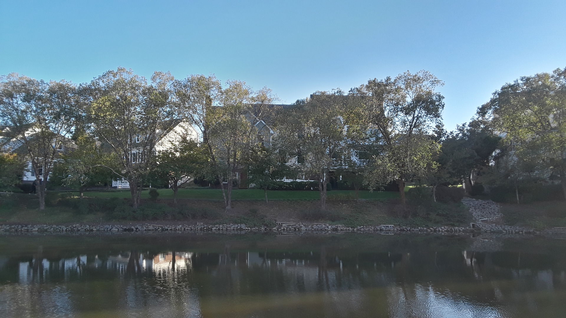 Lake Ridge view 5