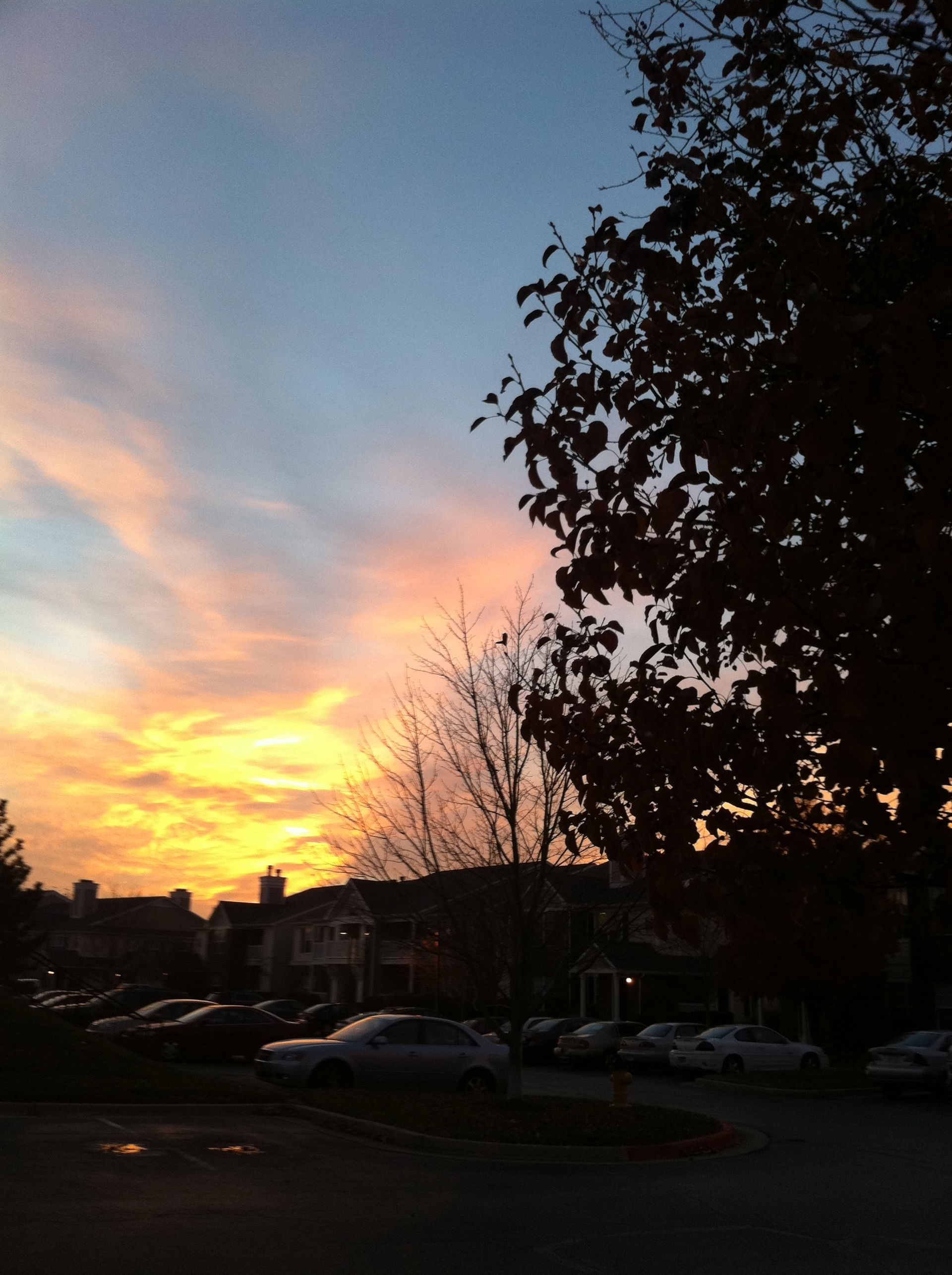 Overland Park view 4