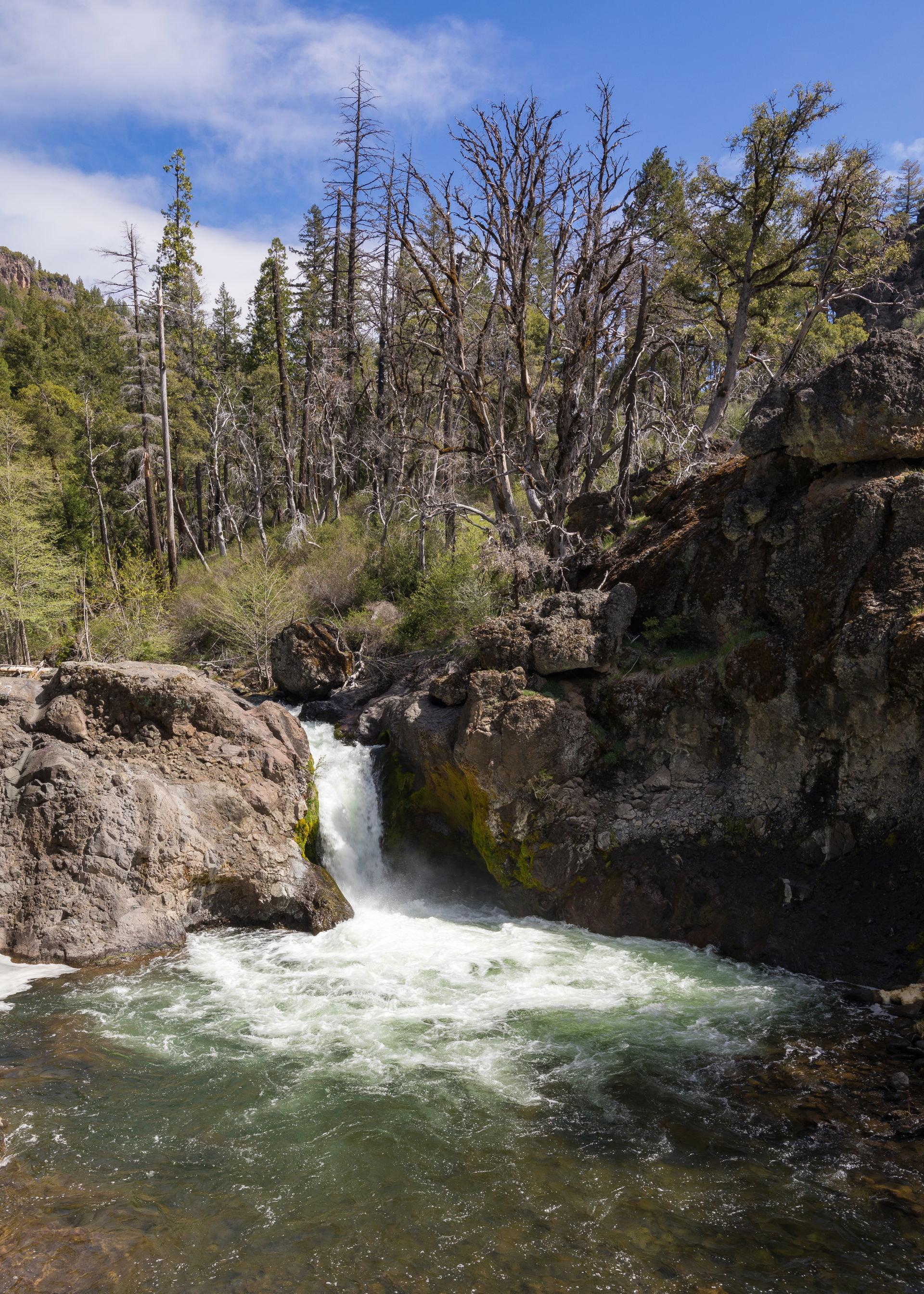 Deer Creek view 1