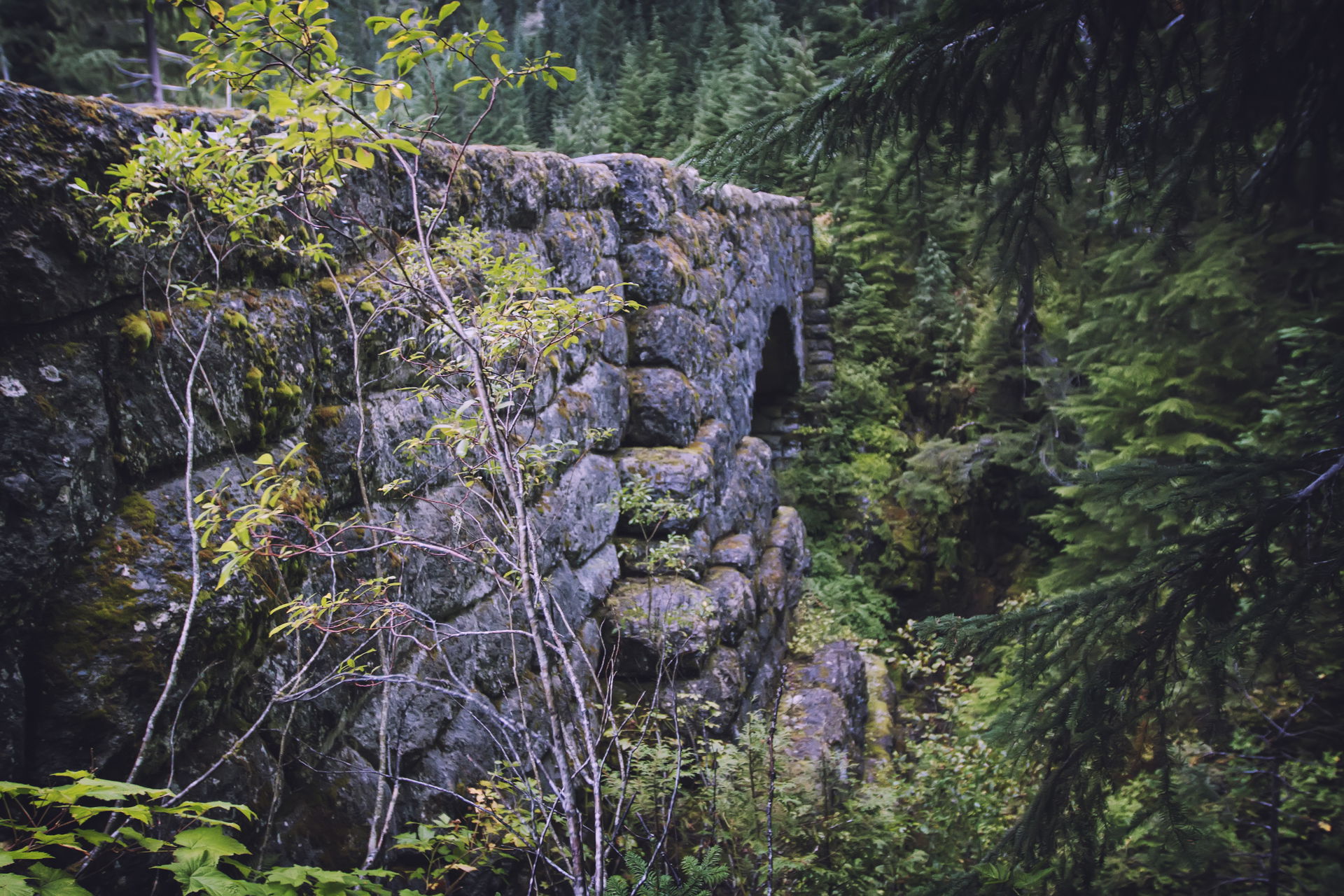 Deer Creek view 5