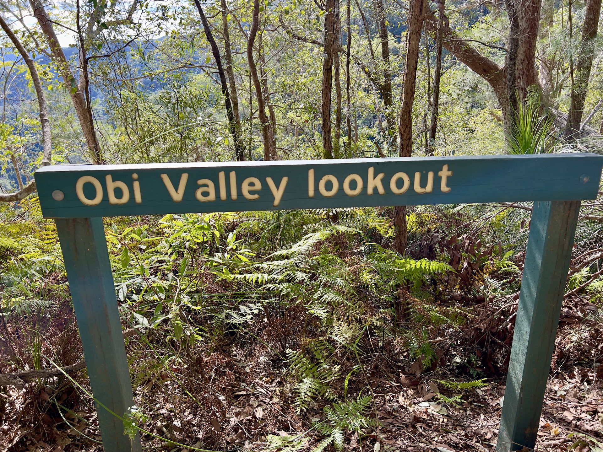 Lookout Valley view 2