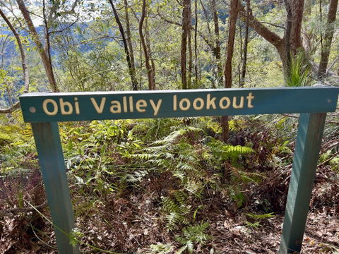 Lookout Valley view 2
