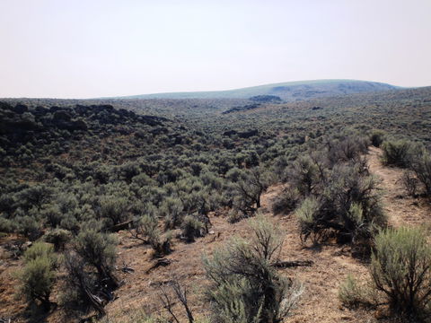 Rincon Valley view 2