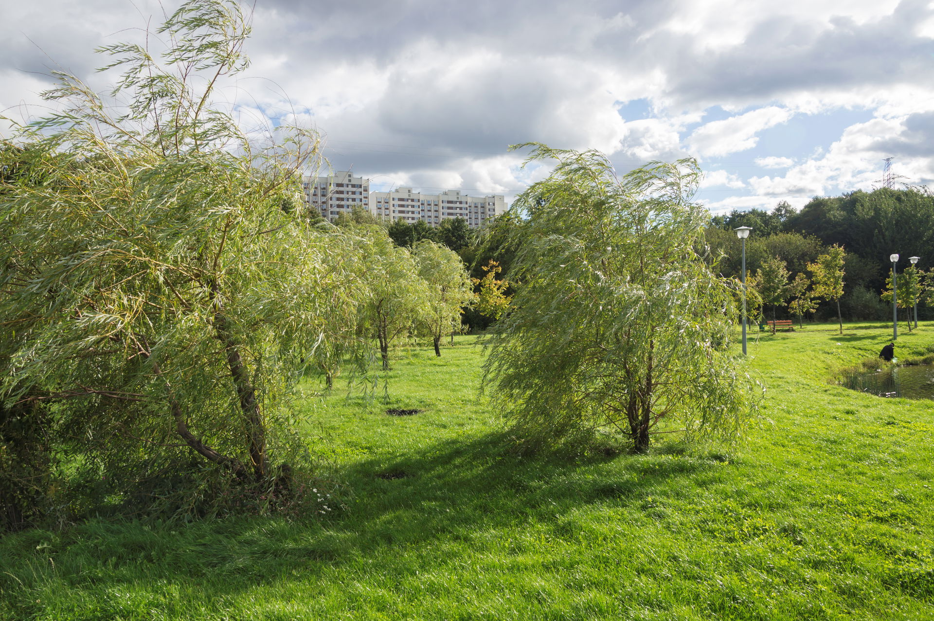 Cascade Park view 1