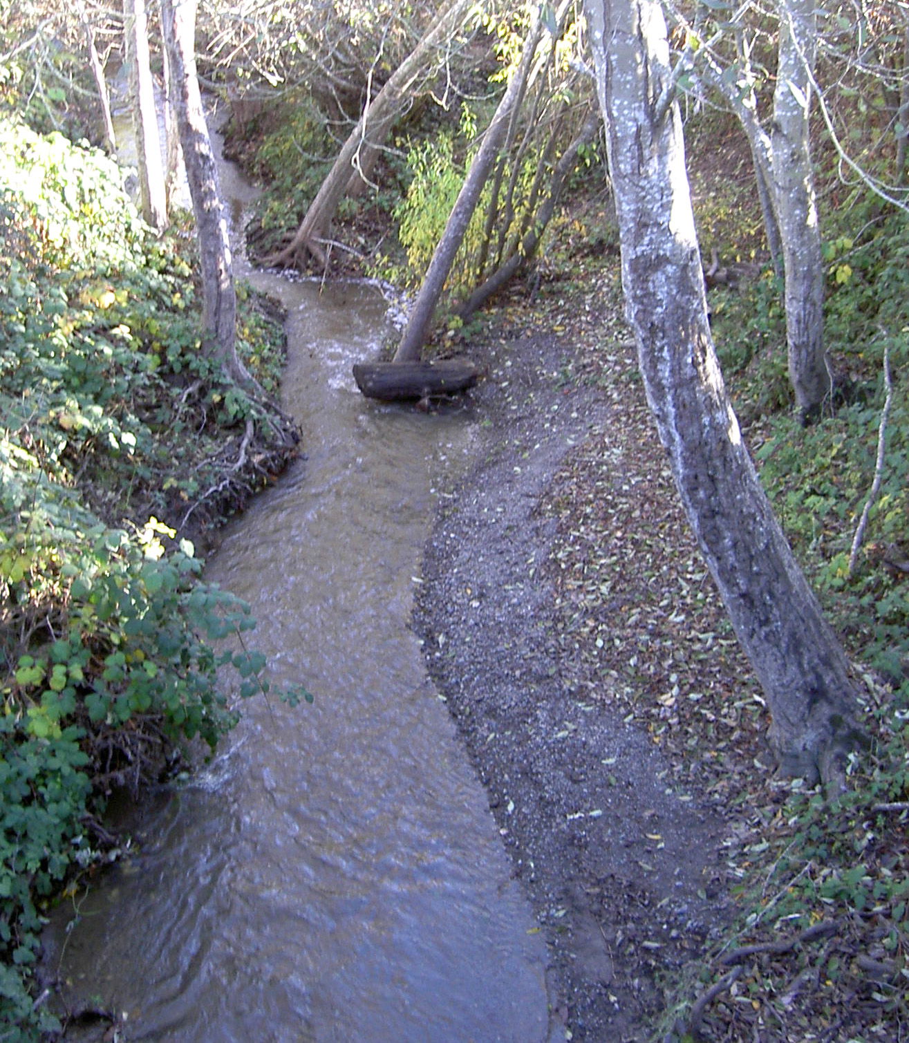 Photograph of Salmon Creek in Sonoma County, California, taken …