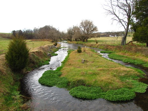 Greene County view 1