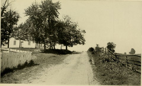 Battlefield view 2