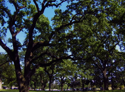 Elk Grove view 3
