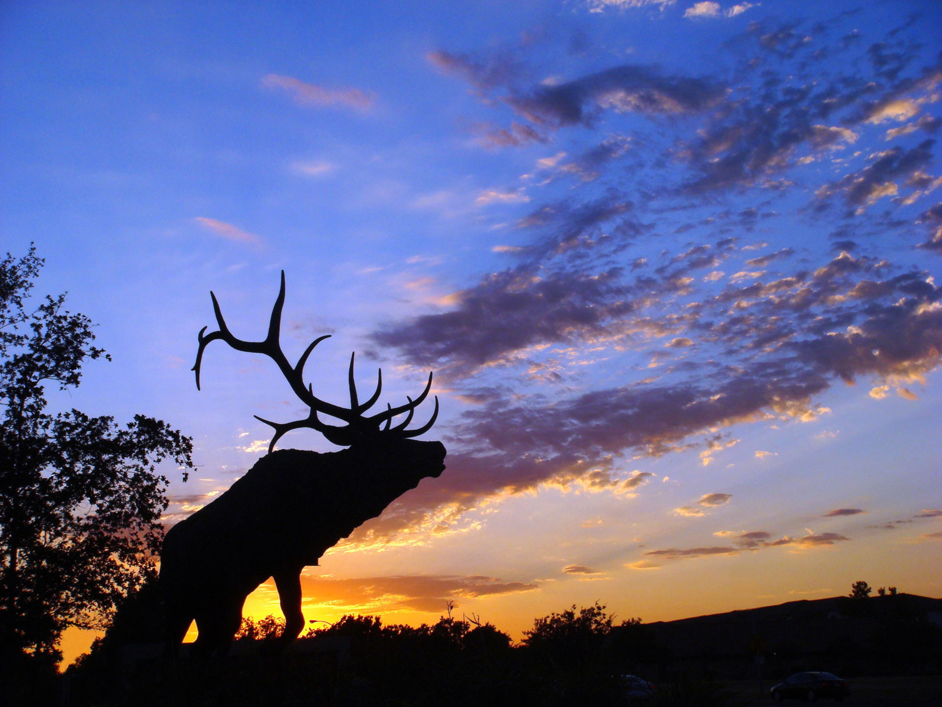 Elk Grove view 4