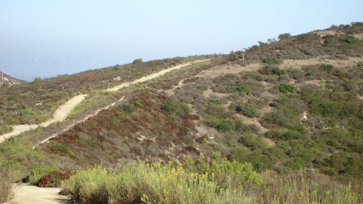 Laguna Ridge district