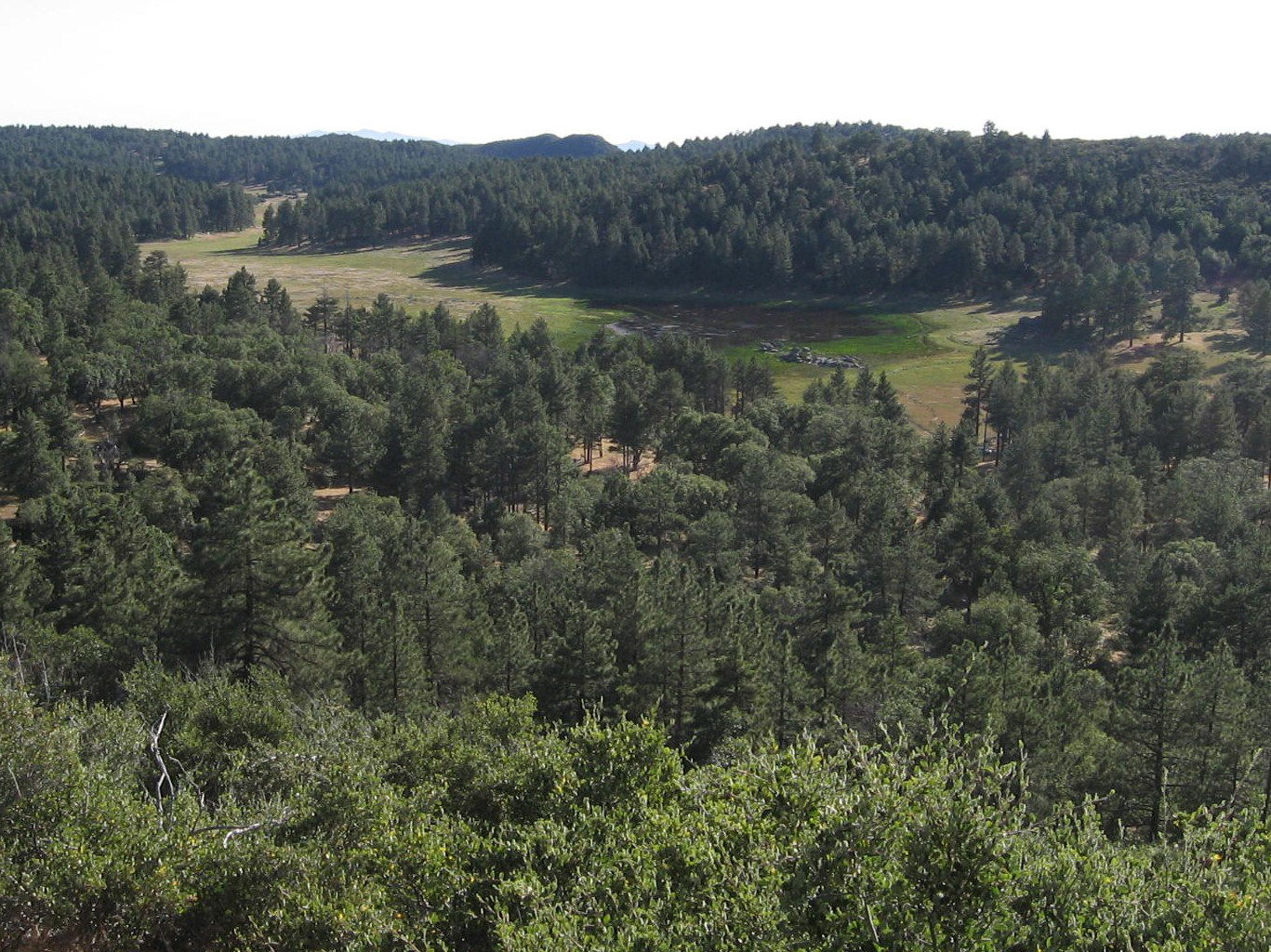 Laguna Ridge view 3