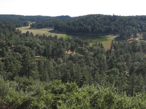 Laguna Ridge view 3