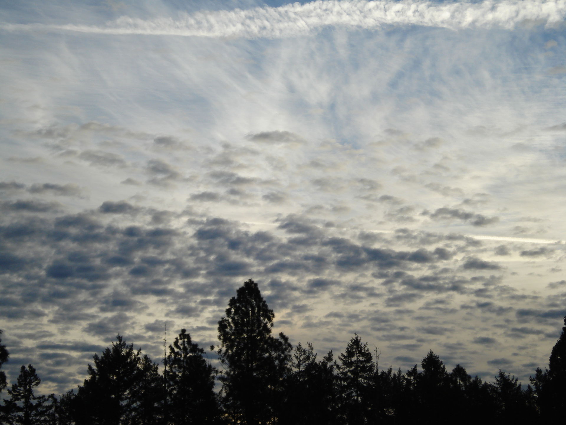 South Eugene view 4