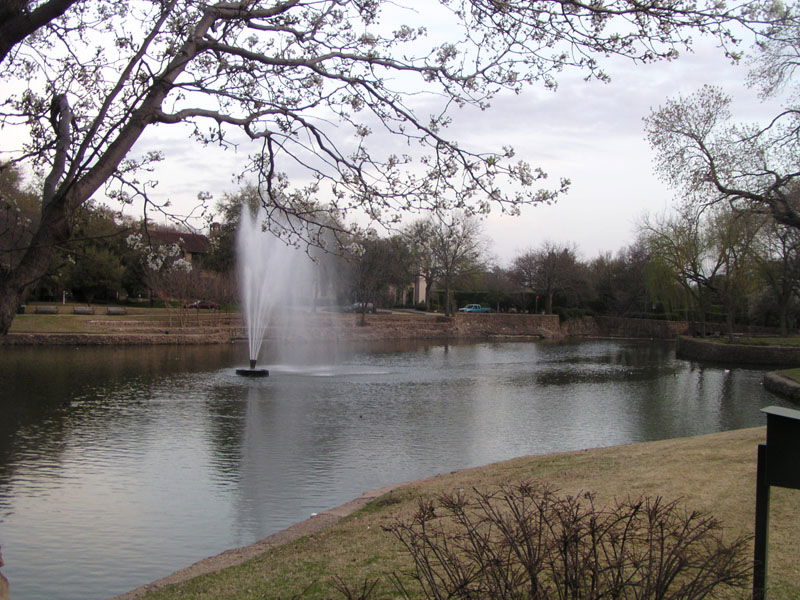 University Park view 3