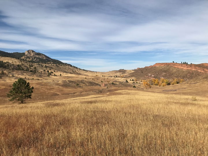 Southeast Fort Collins district