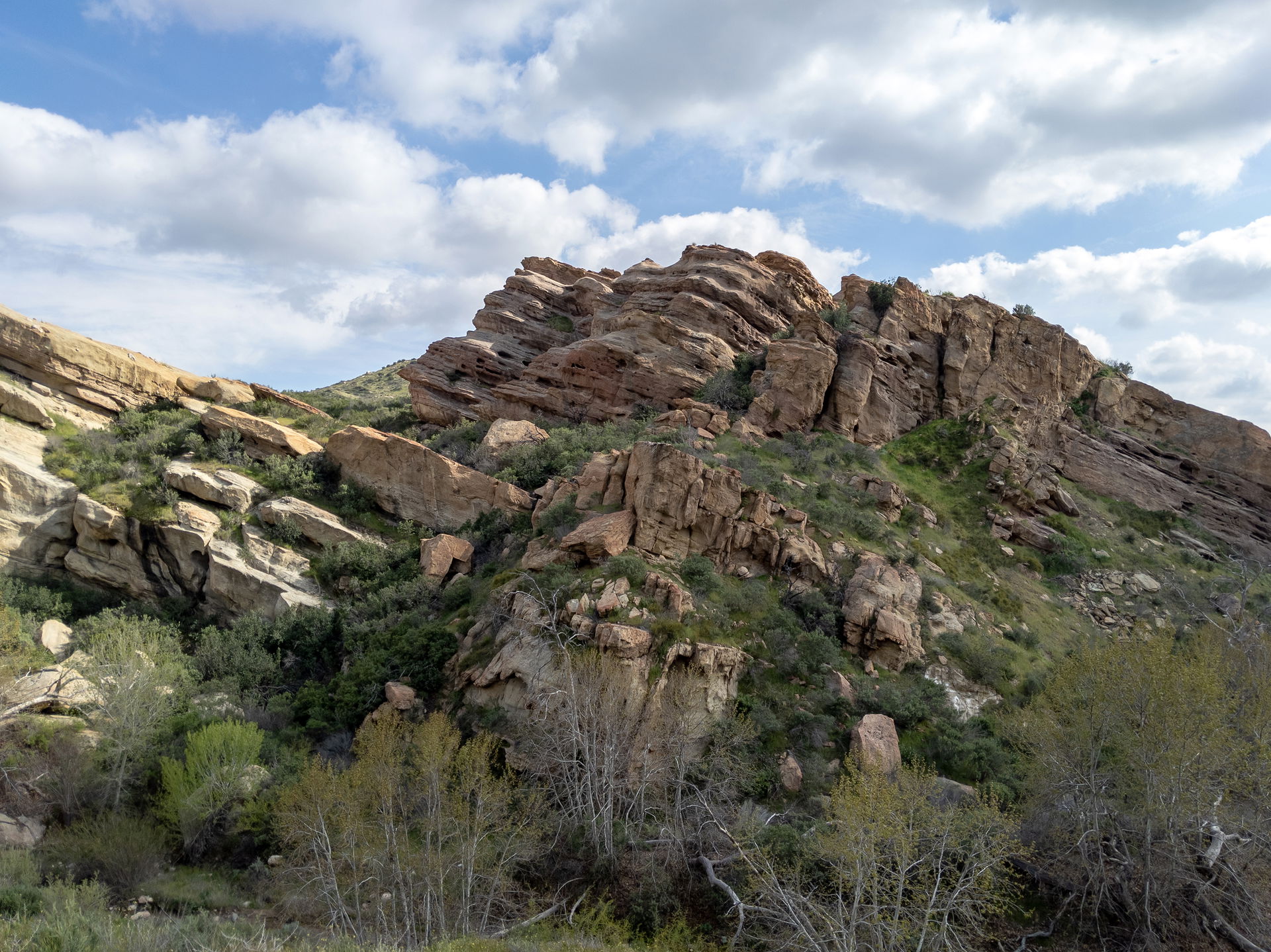 I played hooky for a mid-week sojourn to view the California Su…