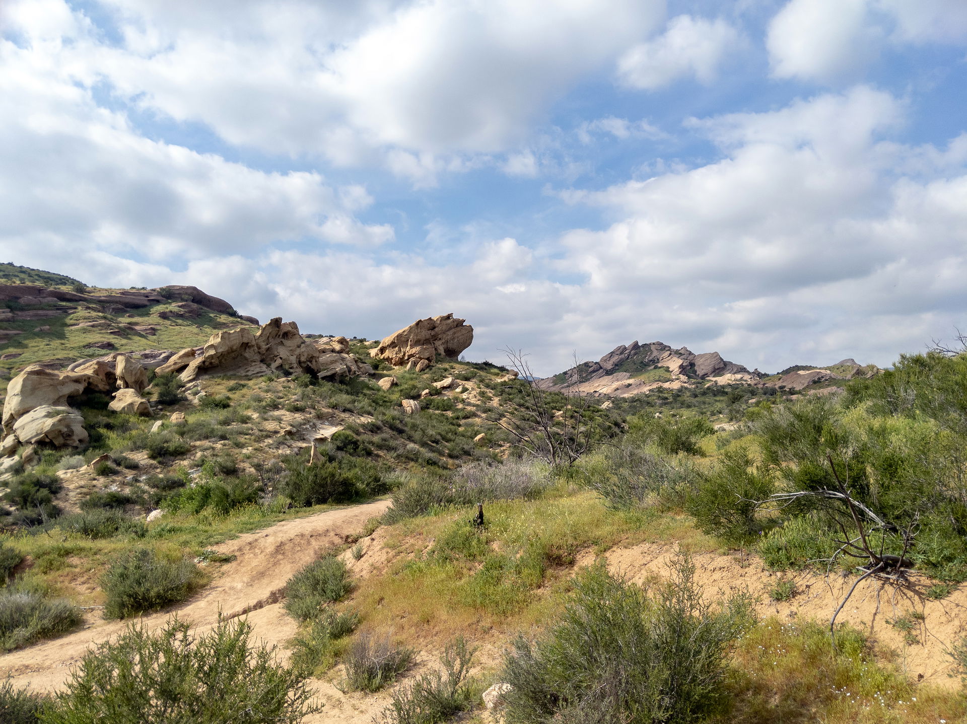 I played hooky for a mid-week sojourn to view the California Su…