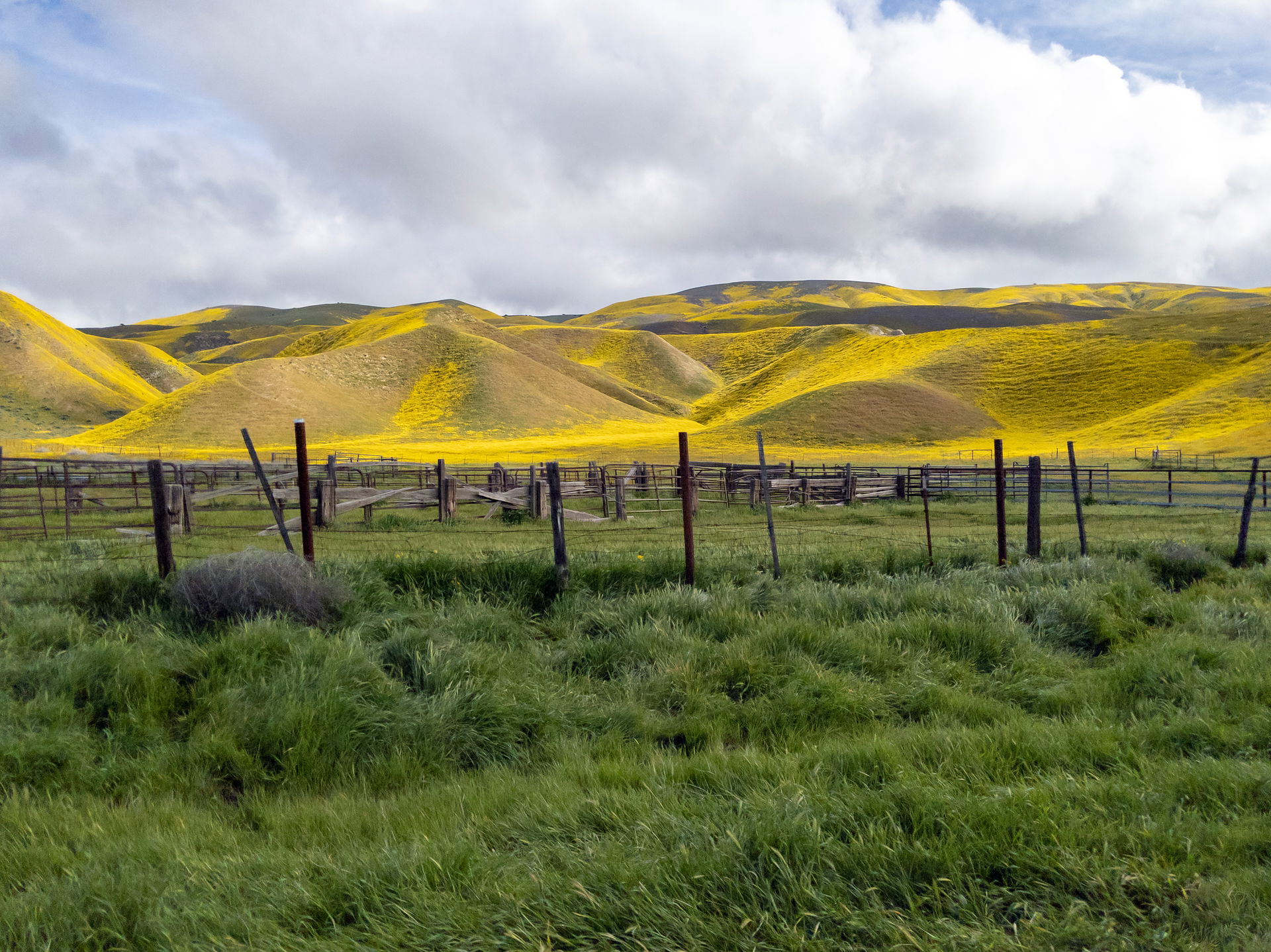 I played hooky for a mid-week sojourn to view the California Su…