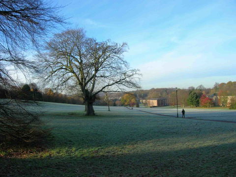 University Park view 2