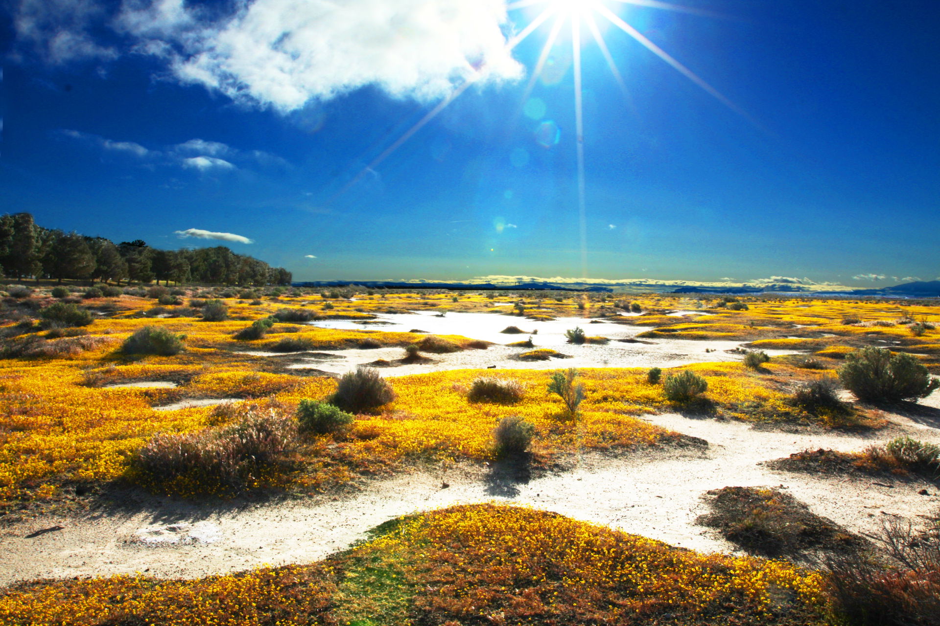 Antelope Valley view 4