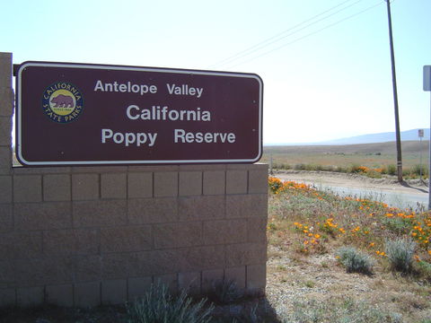 Antelope Valley view 3