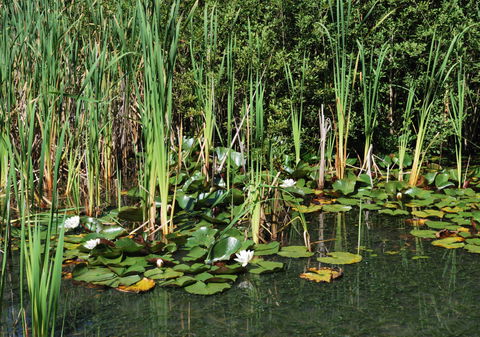 Weilimdorf view 1