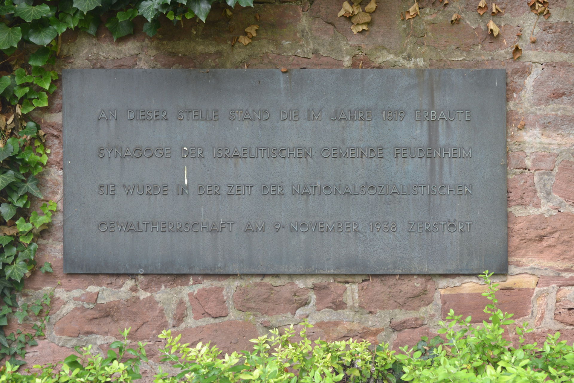 Feudenheim view 5