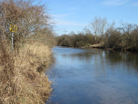 Moosach view 3