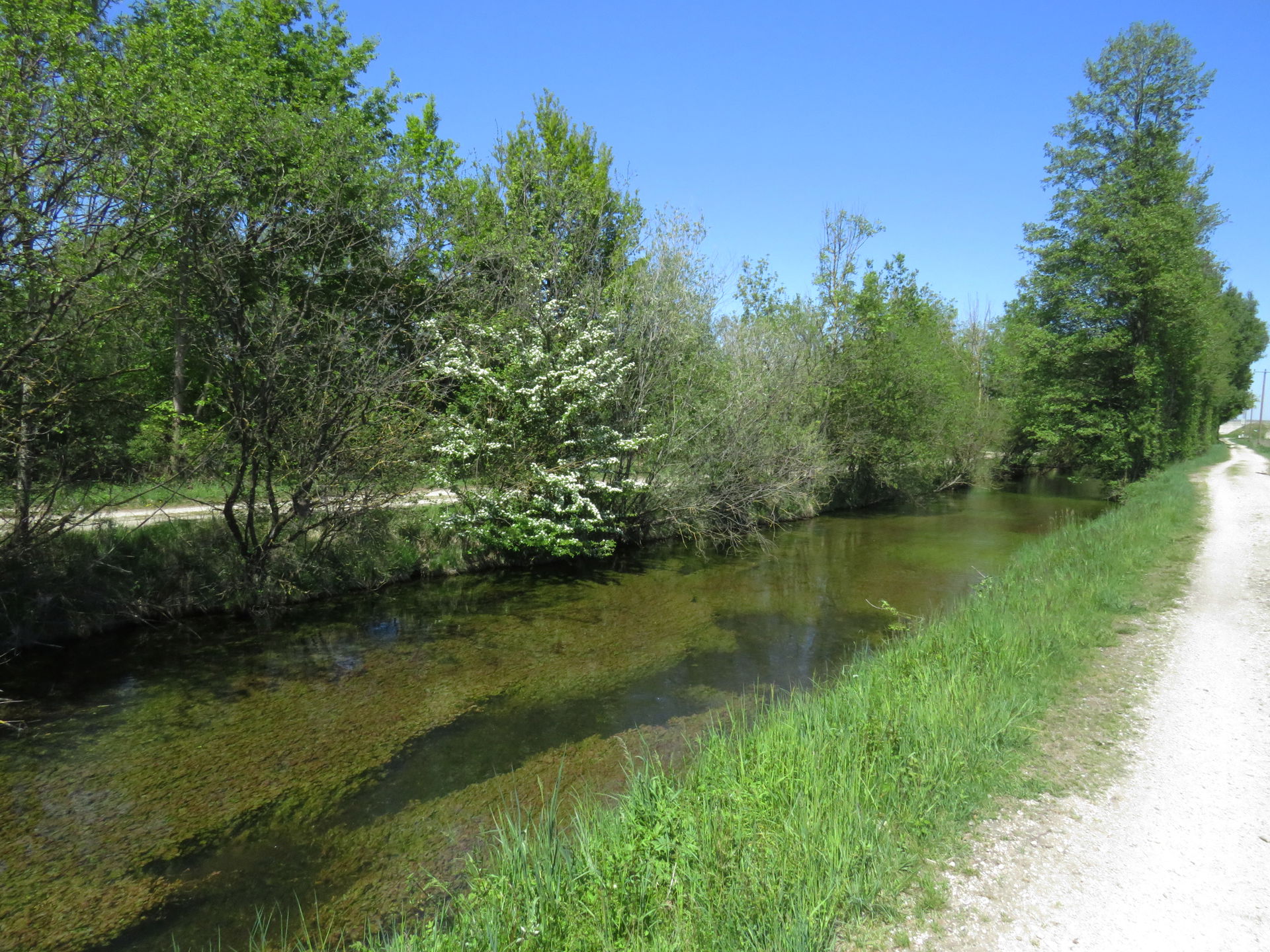 Moosach view 5