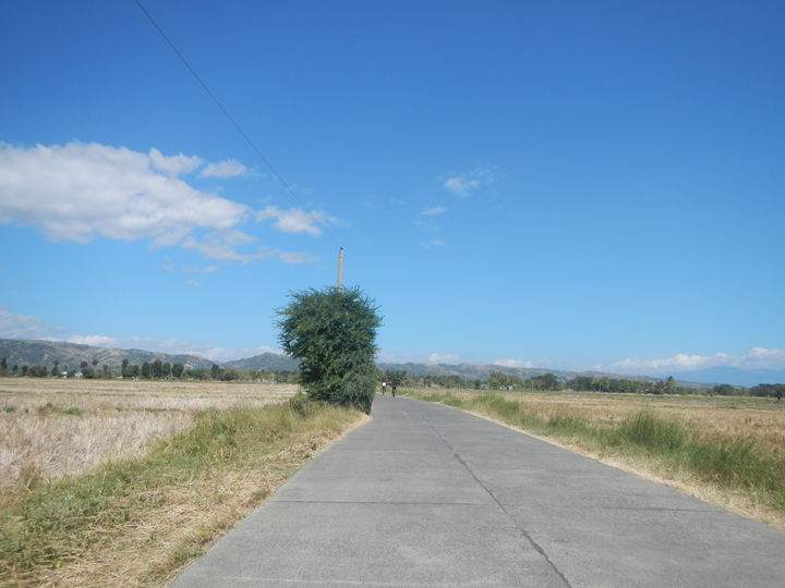 San Jose City district