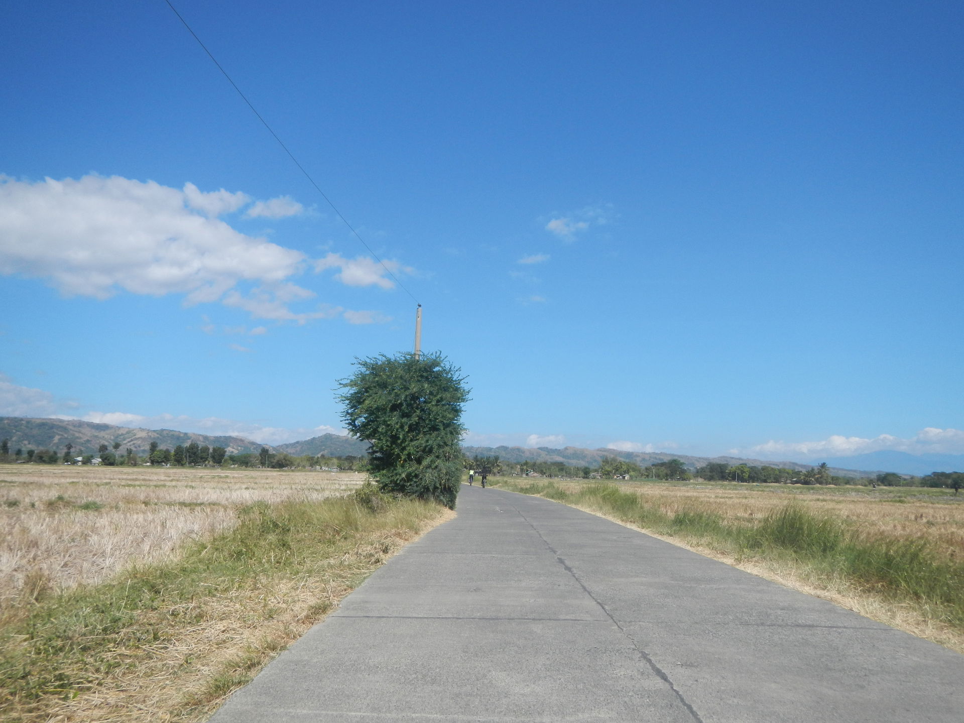 San Jose City view 4