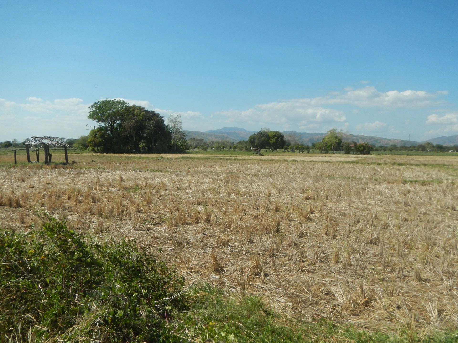 San Jose City view 1