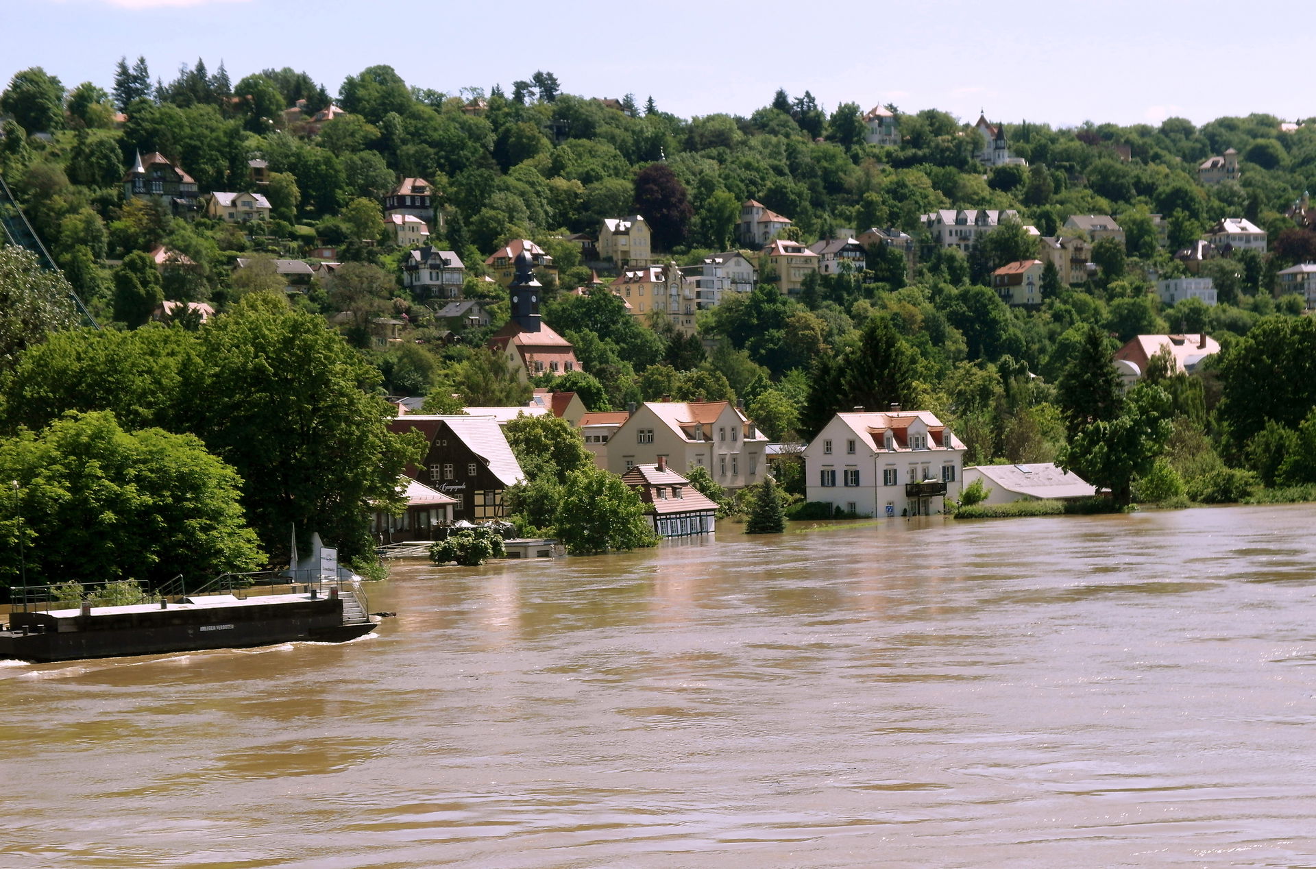 Loschwitz view 5