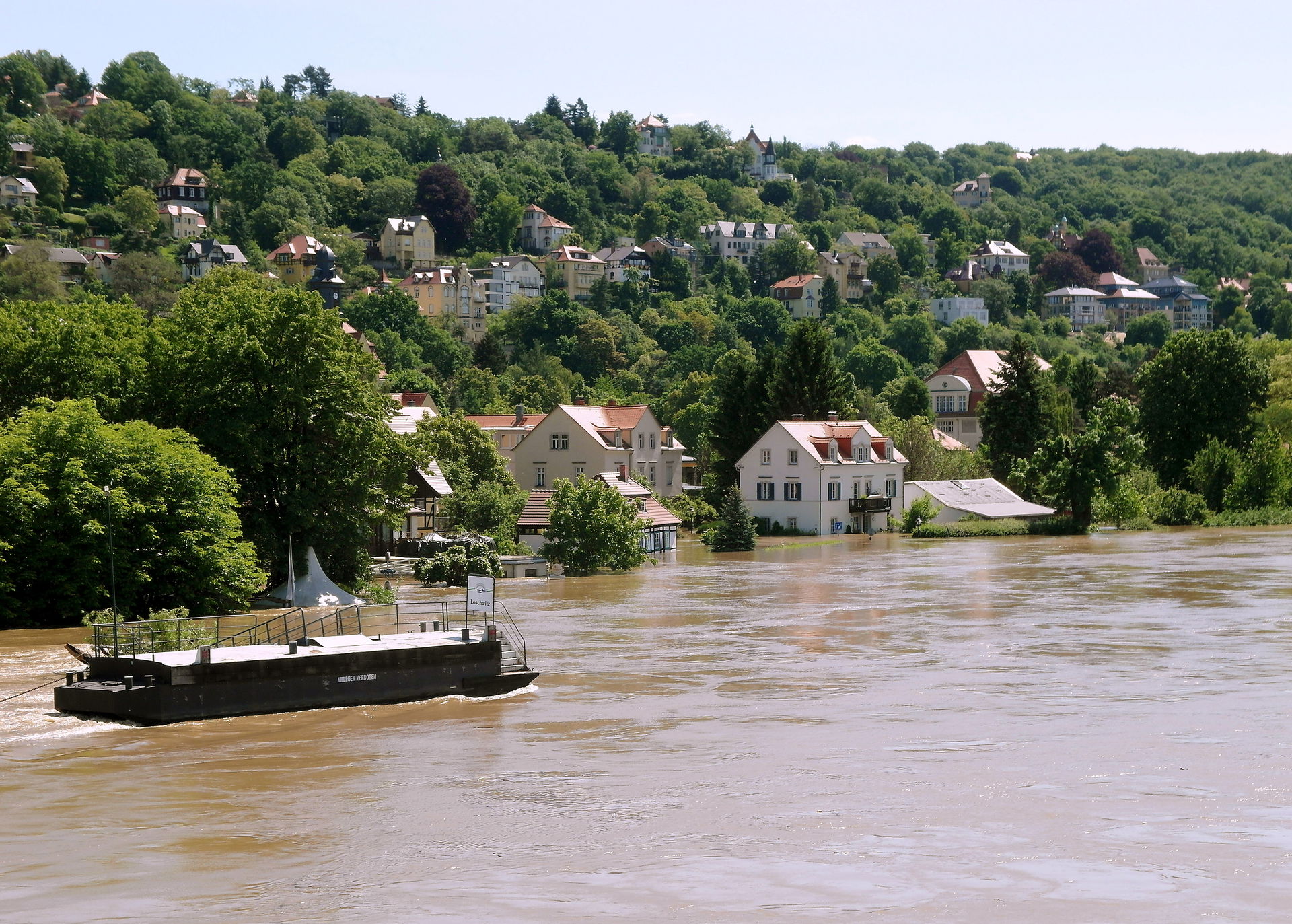 Loschwitz view 2