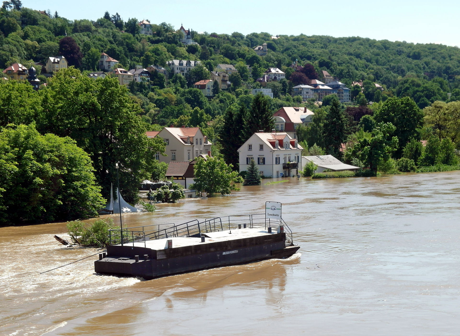 Loschwitz view 4