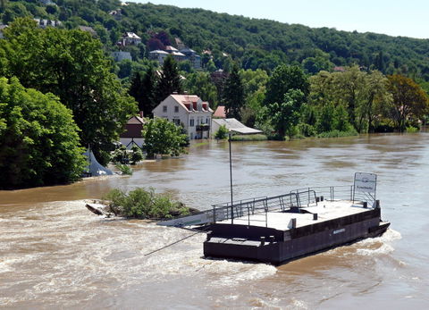 Loschwitz view 3