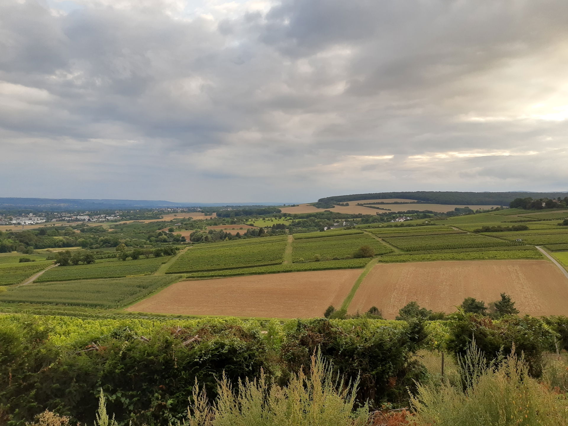 Dotzheim view 2