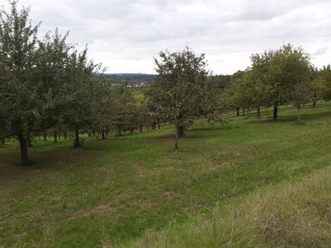 Dotzheim view 1