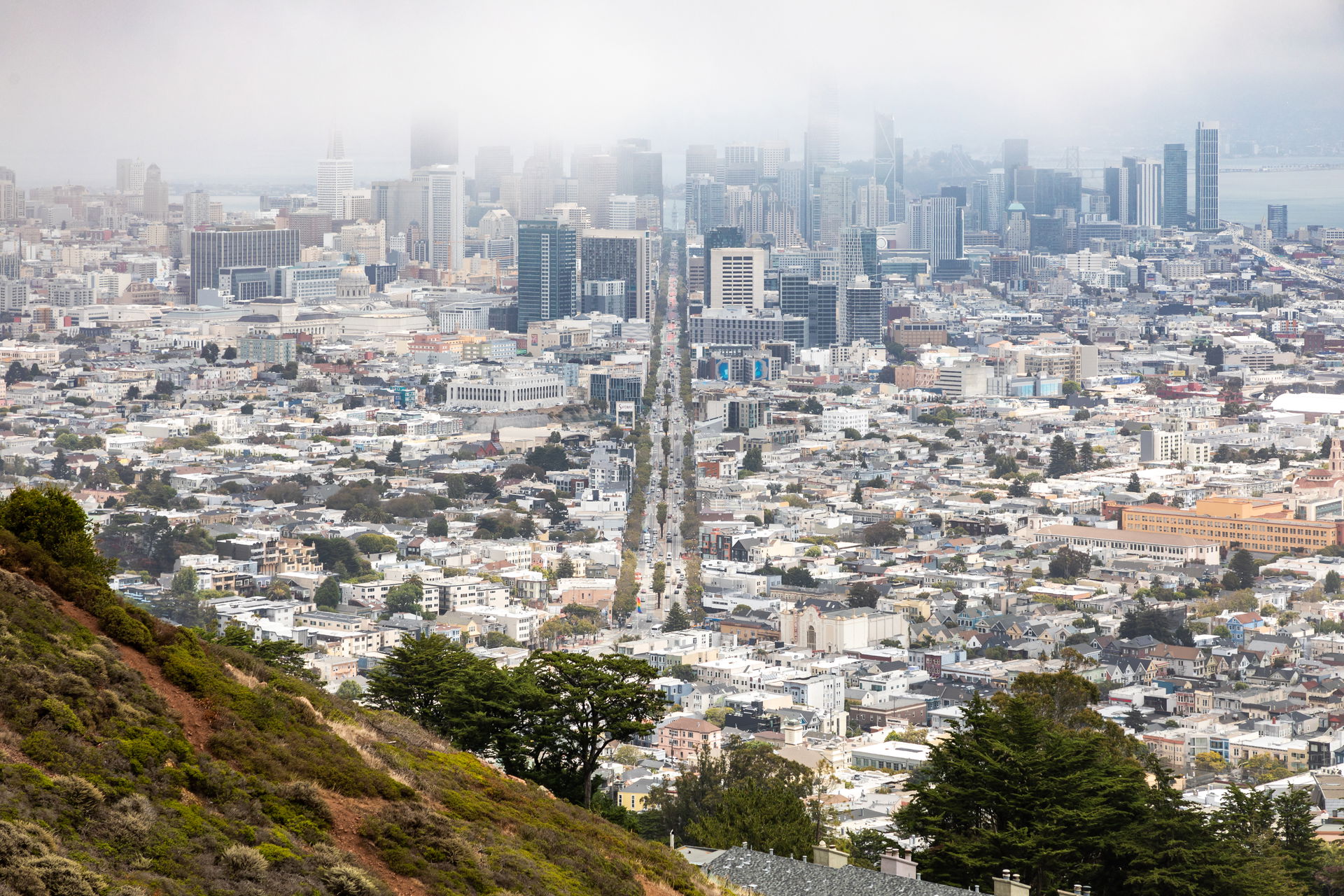 San Francisco County view 2