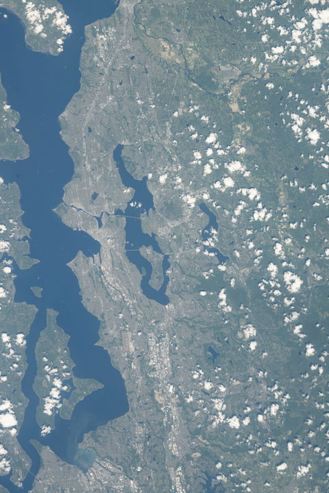 King County view 3