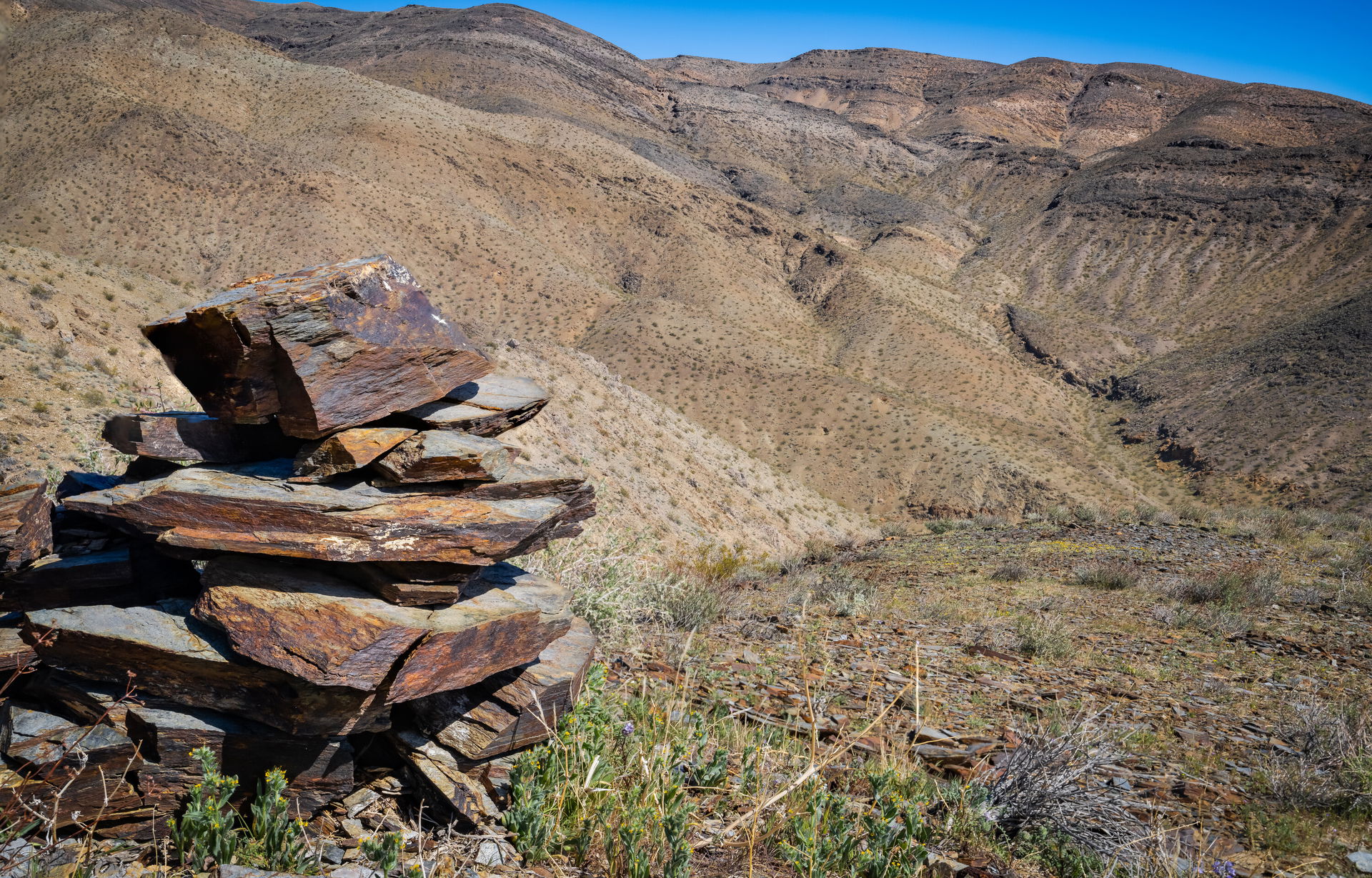 The El Paso Mountains drop into this Wilderness from the southe…