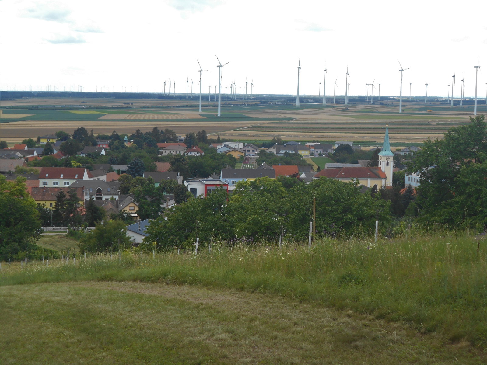 Berg district