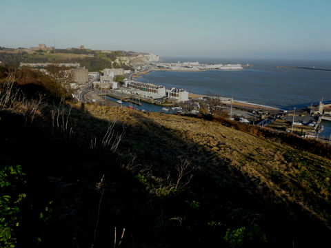 Northeast Heights view 2